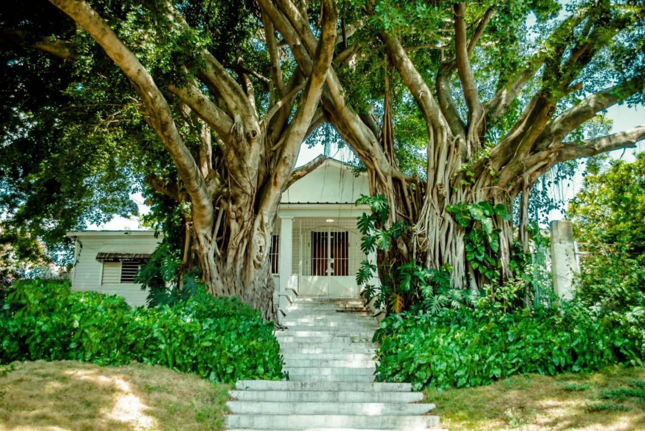 Villa Carolina San Felipe de San Felipe de Puerto Plata Esterno foto