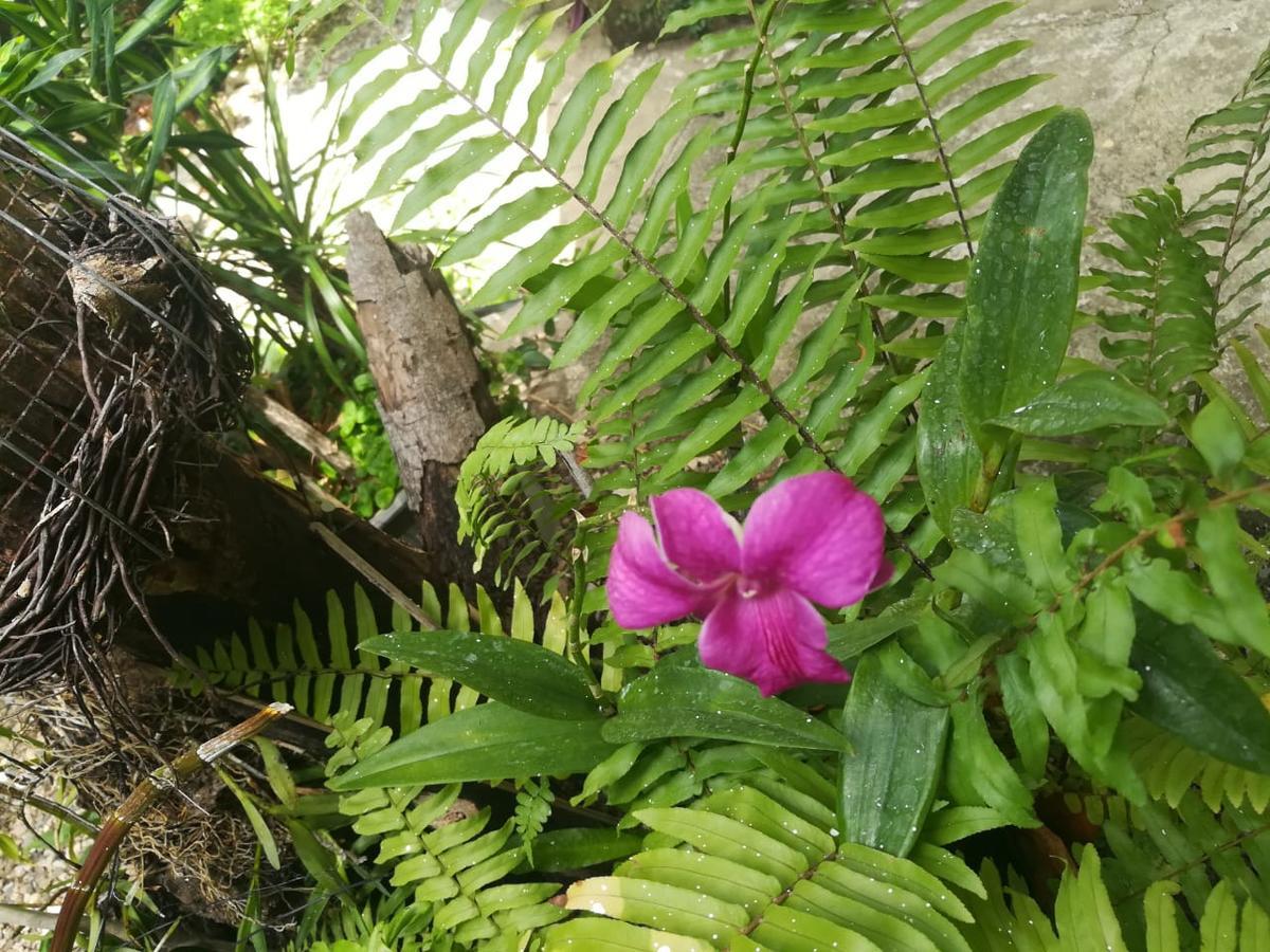 Villa Carolina San Felipe de San Felipe de Puerto Plata Esterno foto