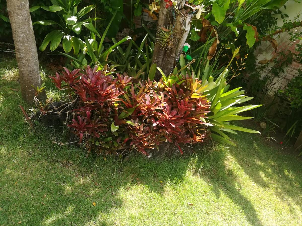 Villa Carolina San Felipe de San Felipe de Puerto Plata Esterno foto