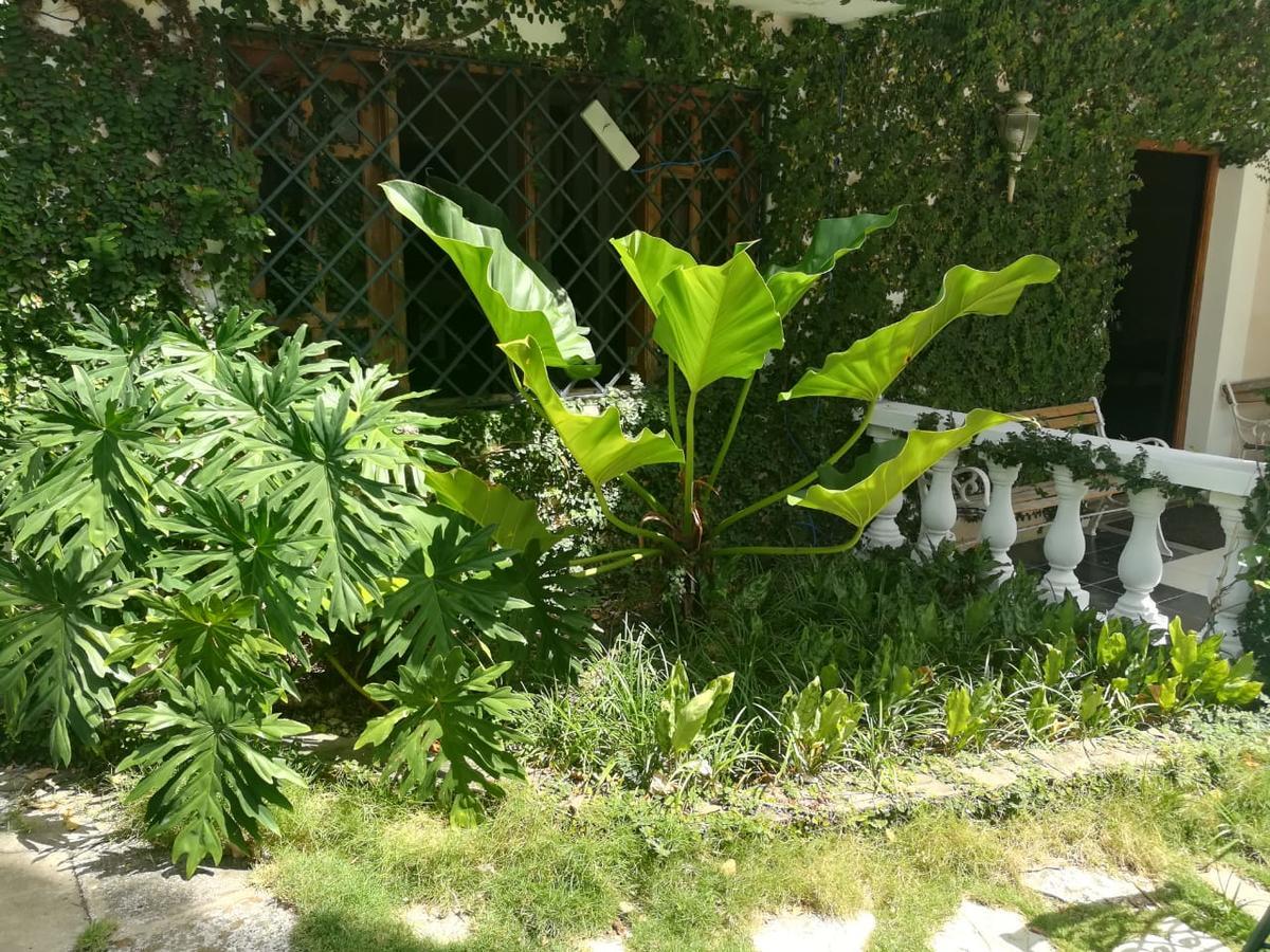 Villa Carolina San Felipe de San Felipe de Puerto Plata Esterno foto